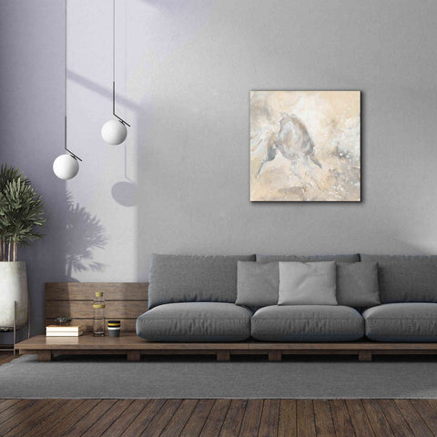 Image of 'Grey Horse I' by Chris Paschke, Giclee Canvas Wall Art,37 x 37