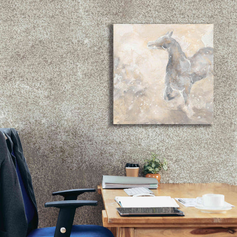 Image of 'Grey Horse II' by Chris Paschke, Giclee Canvas Wall Art,26 x 26