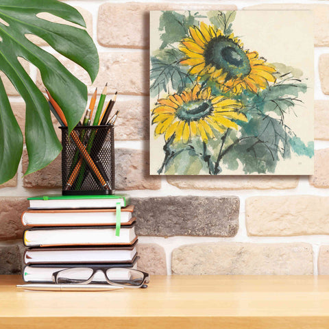Image of 'Sunflower I' by Chris Paschke, Giclee Canvas Wall Art,12 x 12