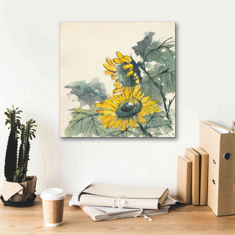 Image of 'Sunflower II' by Chris Paschke, Giclee Canvas Wall Art,18 x 18