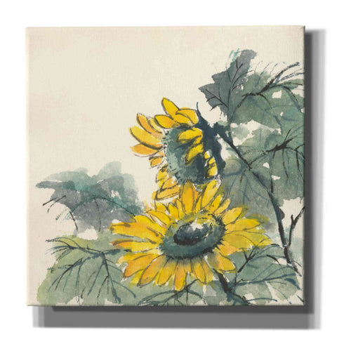 Image of 'Sunflower II' by Chris Paschke, Giclee Canvas Wall Art