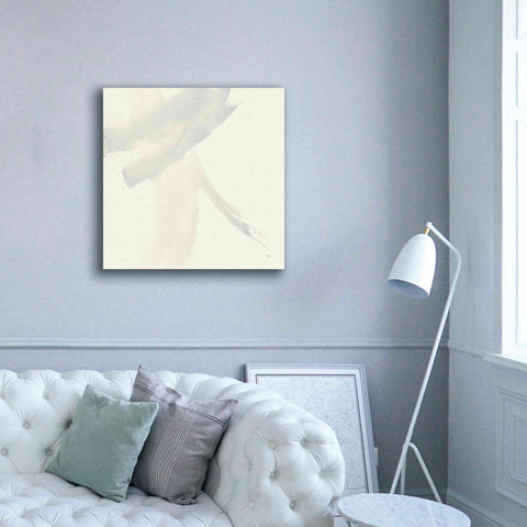 Image of 'Zen II' by Chris Paschke, Giclee Canvas Wall Art,37 x 37