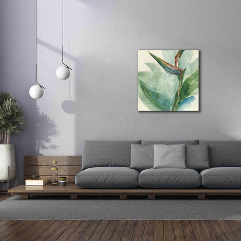 Image of 'Exotic Flower III' by Chris Paschke, Giclee Canvas Wall Art,37 x 37
