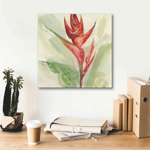 Image of 'Exotic Flower IV' by Chris Paschke, Giclee Canvas Wall Art,18 x 18