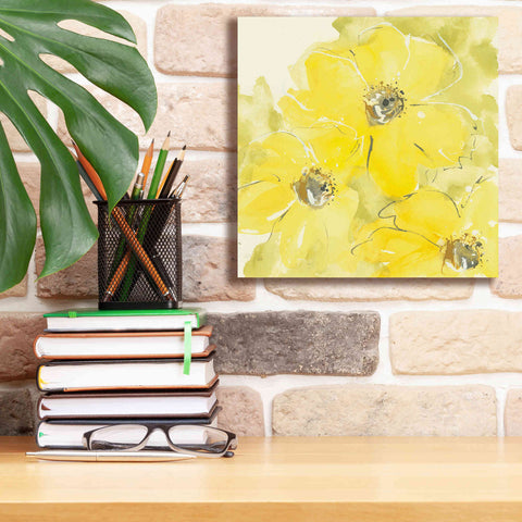 Image of 'Sunshine Cosmos I' by Chris Paschke, Giclee Canvas Wall Art,12 x 12