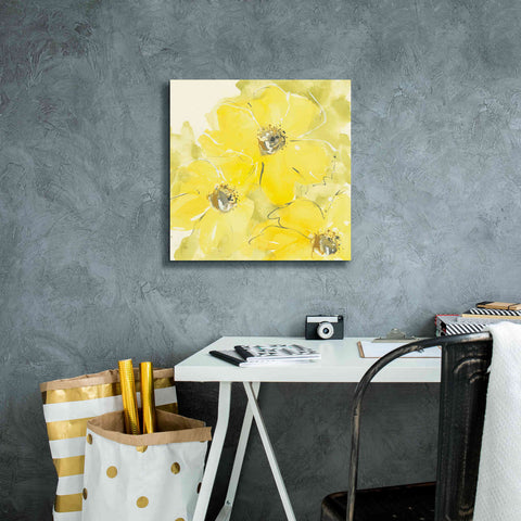 Image of 'Sunshine Cosmos I' by Chris Paschke, Giclee Canvas Wall Art,18 x 18