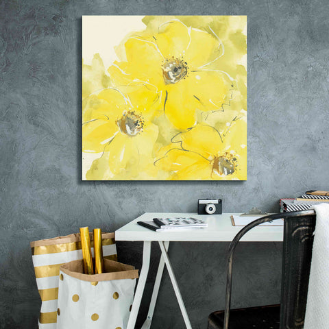 Image of 'Sunshine Cosmos I' by Chris Paschke, Giclee Canvas Wall Art,26 x 26