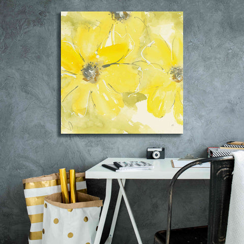 Image of 'Sunshine Cosmos II' by Chris Paschke, Giclee Canvas Wall Art,26 x 26