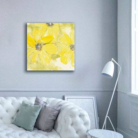 Image of 'Sunshine Cosmos II' by Chris Paschke, Giclee Canvas Wall Art,37 x 37