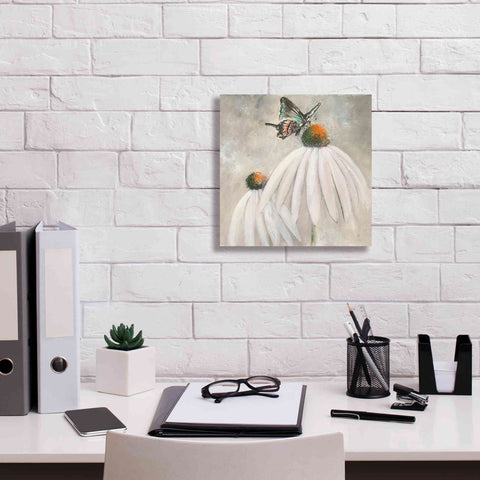 Image of 'Butterflies Are Free I' by Chris Paschke, Giclee Canvas Wall Art,12 x 12
