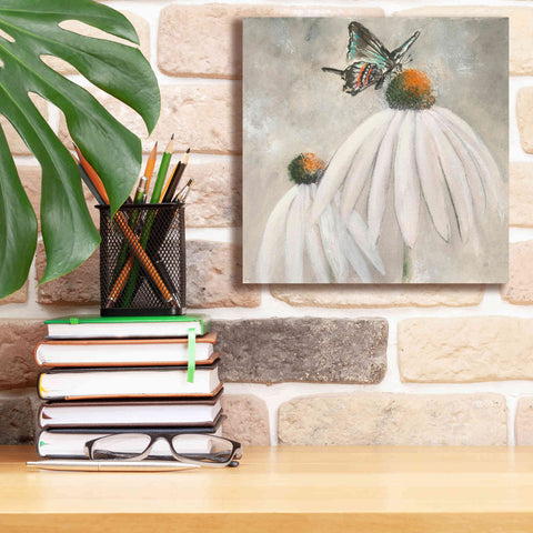 Image of 'Butterflies Are Free I' by Chris Paschke, Giclee Canvas Wall Art,12 x 12