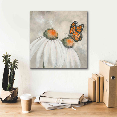 Image of 'Butterflies Are Free II' by Chris Paschke, Giclee Canvas Wall Art,18 x 18