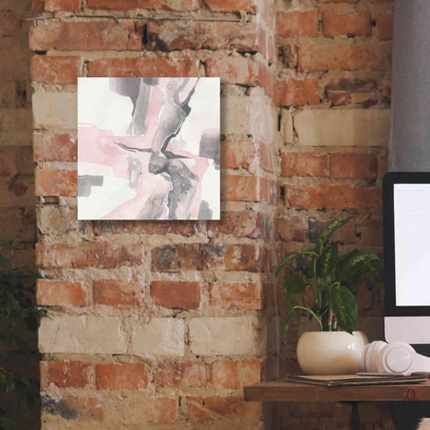 Image of 'Blushing Grey I' by Chris Paschke, Giclee Canvas Wall Art,12 x 12