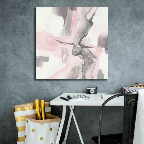 Image of 'Blushing Grey I' by Chris Paschke, Giclee Canvas Wall Art,26 x 26