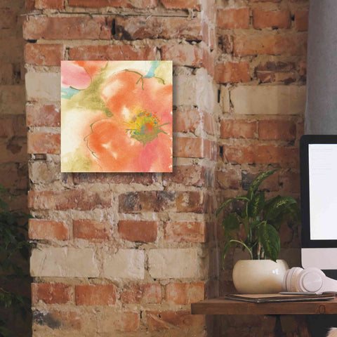 Image of 'Coral Poppy I' by Chris Paschke, Giclee Canvas Wall Art,12 x 12
