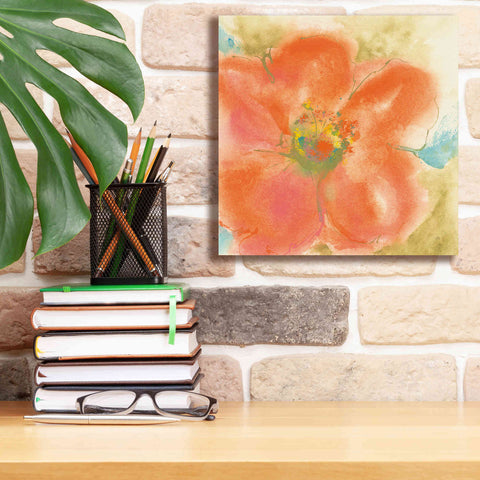 Image of 'Coral Poppy II' by Chris Paschke, Giclee Canvas Wall Art,12 x 12