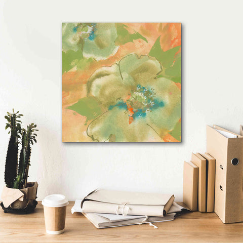 Image of 'Olive Poppy II' by Chris Paschke, Giclee Canvas Wall Art,18 x 18