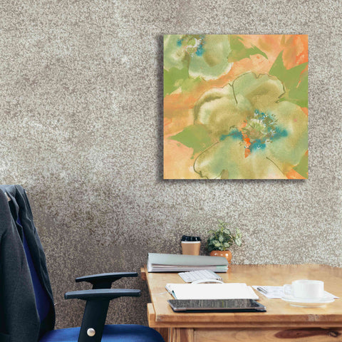 Image of 'Olive Poppy II' by Chris Paschke, Giclee Canvas Wall Art,26 x 26
