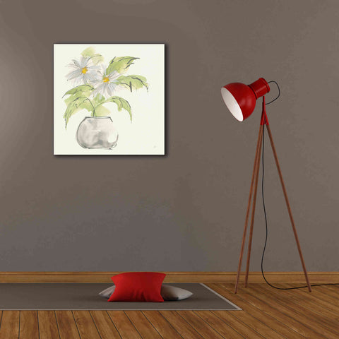 Image of 'Plant Daisy I' by Chris Paschke, Giclee Canvas Wall Art,26 x 26