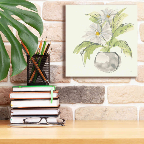 Image of 'Plant Daisy II' by Chris Paschke, Giclee Canvas Wall Art,12 x 12