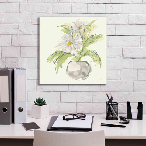 Image of 'Plant Daisy II' by Chris Paschke, Giclee Canvas Wall Art,18 x 18