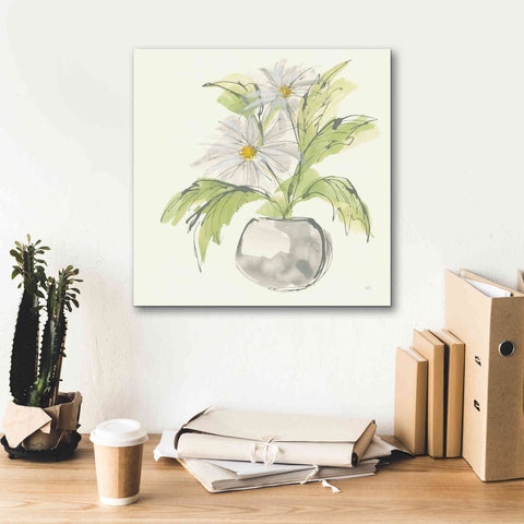 Image of 'Plant Daisy II' by Chris Paschke, Giclee Canvas Wall Art,18 x 18