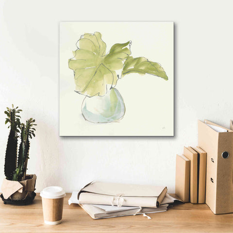 Image of 'Plant Big Leaf I' by Chris Paschke, Giclee Canvas Wall Art,18 x 18
