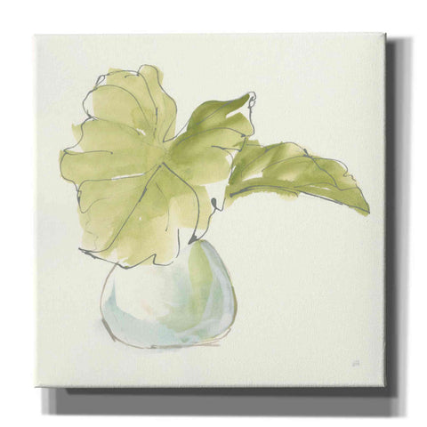 Image of 'Plant Big Leaf I' by Chris Paschke, Giclee Canvas Wall Art