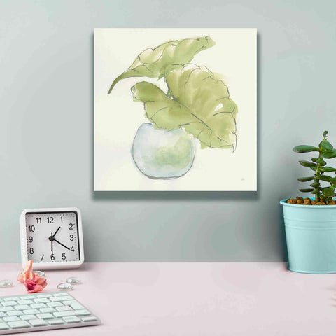 Image of 'Plant Big Leaf III' by Chris Paschke, Giclee Canvas Wall Art,12 x 12