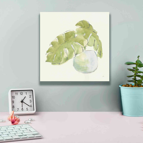 Image of 'Plant Big Leaf IV' by Chris Paschke, Giclee Canvas Wall Art,12 x 12