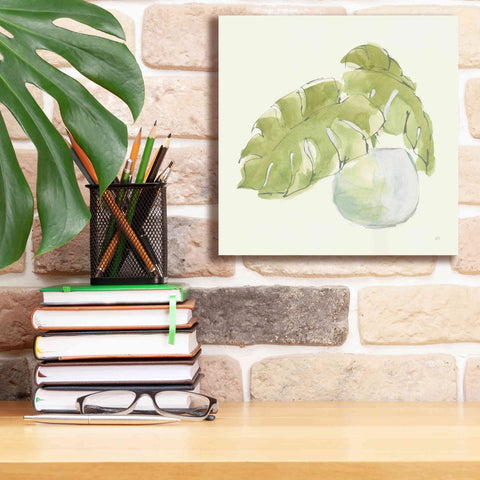 Image of 'Plant Big Leaf IV' by Chris Paschke, Giclee Canvas Wall Art,12 x 12