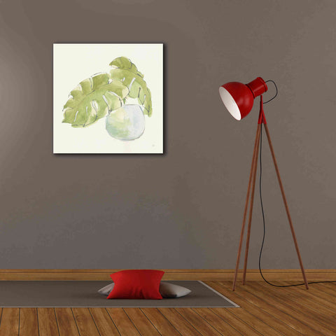 Image of 'Plant Big Leaf IV' by Chris Paschke, Giclee Canvas Wall Art,26 x 26