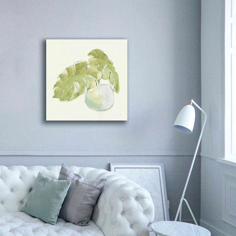 Image of 'Plant Big Leaf IV' by Chris Paschke, Giclee Canvas Wall Art,37 x 37