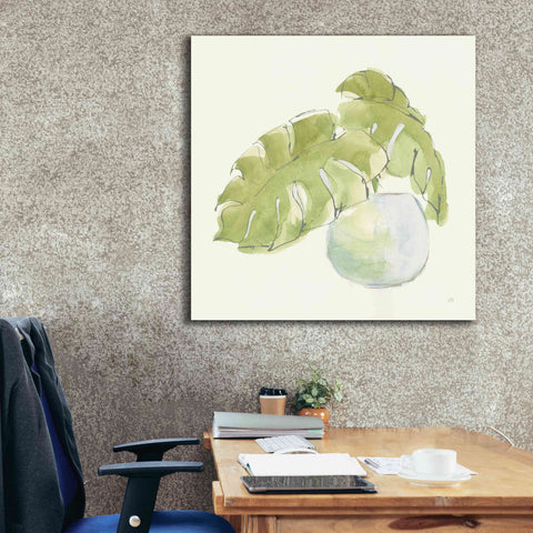 Image of 'Plant Big Leaf IV' by Chris Paschke, Giclee Canvas Wall Art,37 x 37