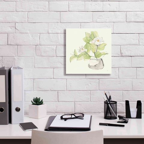 Image of 'Plant Magnolia I' by Chris Paschke, Giclee Canvas Wall Art,12 x 12