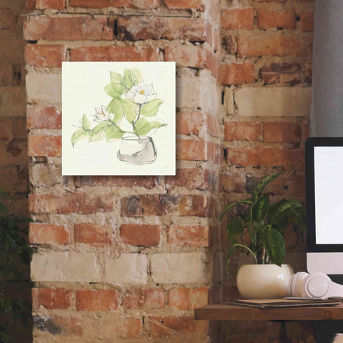 Image of 'Plant Magnolia I' by Chris Paschke, Giclee Canvas Wall Art,12 x 12