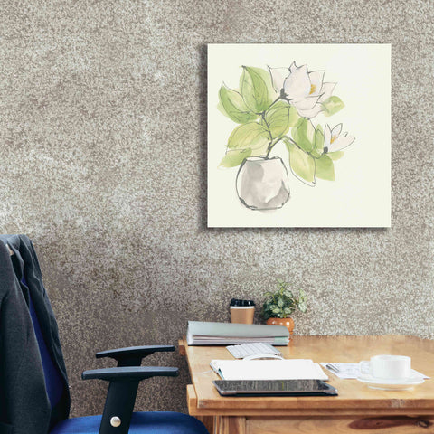Image of 'Plant Magnolia II' by Chris Paschke, Giclee Canvas Wall Art,26 x 26