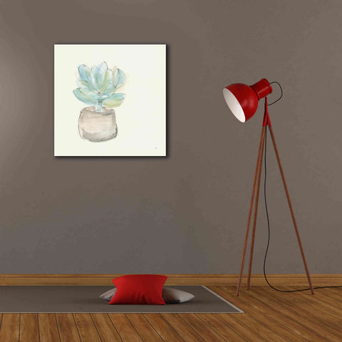 Image of 'Succulent I' by Chris Paschke, Giclee Canvas Wall Art,26 x 26
