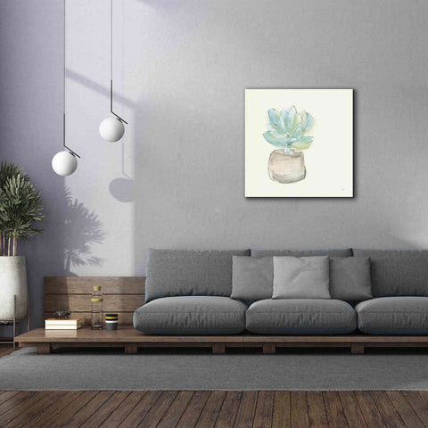 Image of 'Succulent I' by Chris Paschke, Giclee Canvas Wall Art,37 x 37