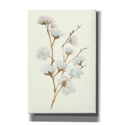 Image of 'Summer Cotton I' by Chris Paschke, Giclee Canvas Wall Art