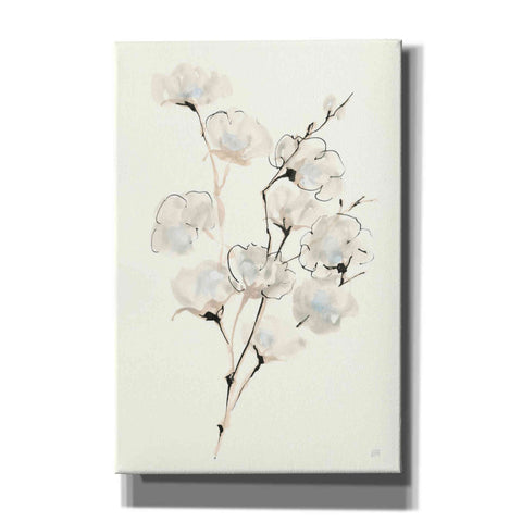 Image of 'Summer Cotton III' by Chris Paschke, Giclee Canvas Wall Art