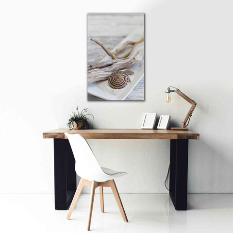 Image of 'Zen Style Driftwood Seashell Still' by Andrea Haase, Giclee Canvas Wall Art,26 x 40