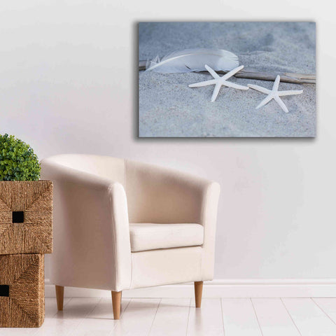 Image of 'Starfish Feather Beach Still' by Andrea Haase, Giclee Canvas Wall Art,40 x 26