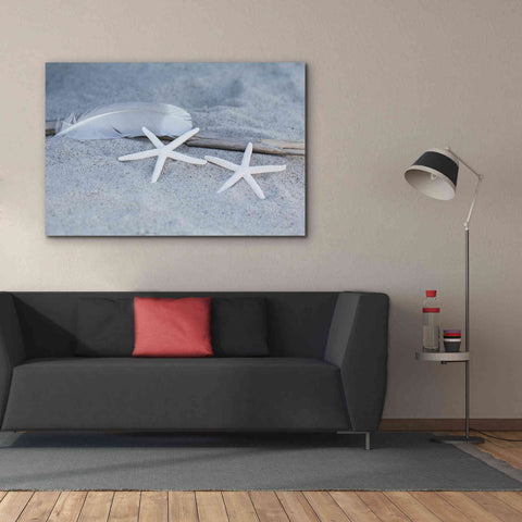 Image of 'Starfish Feather Beach Still' by Andrea Haase, Giclee Canvas Wall Art,60 x 40
