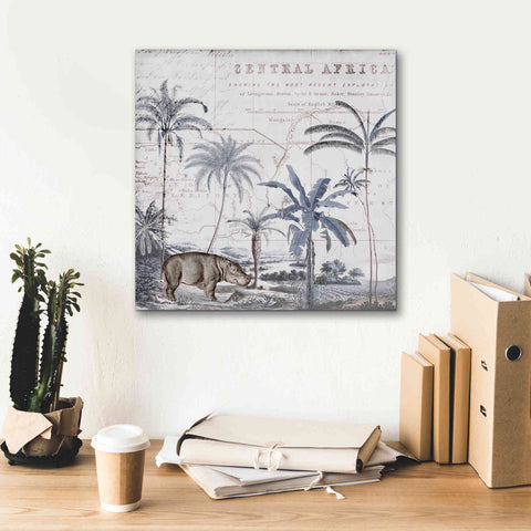 Image of 'Hippo Adventure' by Andrea Haase Giclee Canvas Wall Art,18 x 18