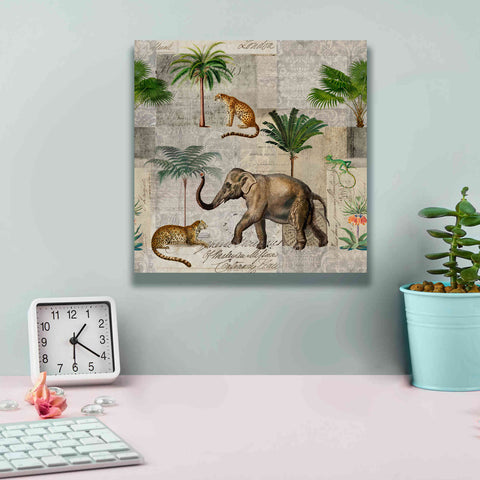Image of 'The Magic Of Africa' by Andrea Haase Giclee Canvas Wall Art,12 x 12