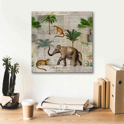 Image of 'The Magic Of Africa' by Andrea Haase Giclee Canvas Wall Art,18 x 18
