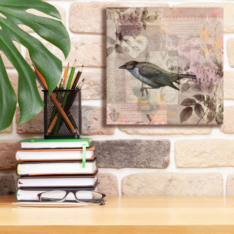 Image of 'Nostalgic Bird Collage' by Andrea Haase Giclee Canvas Wall Art,12 x 12