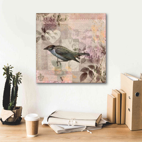 Image of 'Nostalgic Bird Collage' by Andrea Haase Giclee Canvas Wall Art,18 x 18