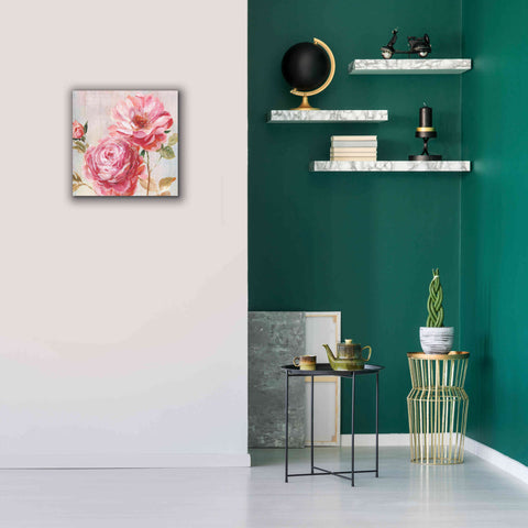 Image of 'Petal Paint 2' by Karen Smith Giclee Canvas Wall Art,18x18